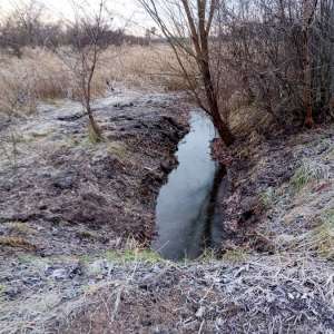  hier soll ein Biotop entstehen