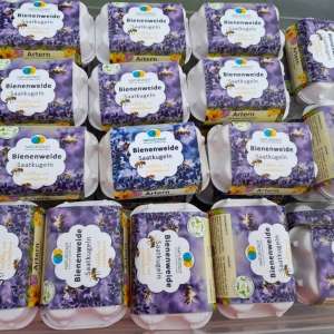 der Kooperationspartner ThINKA stellt Saatkugeln her